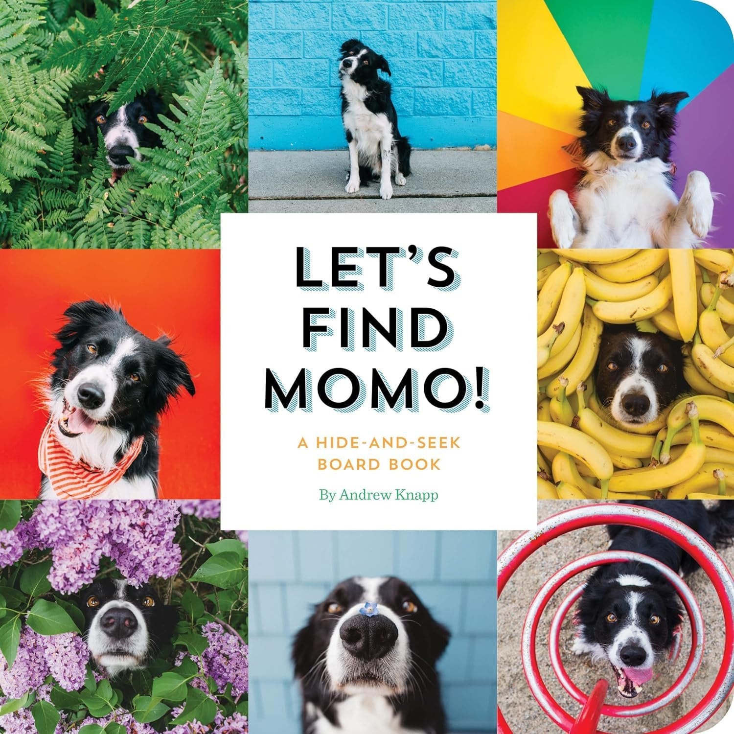Find Momo Series 5 Books Set