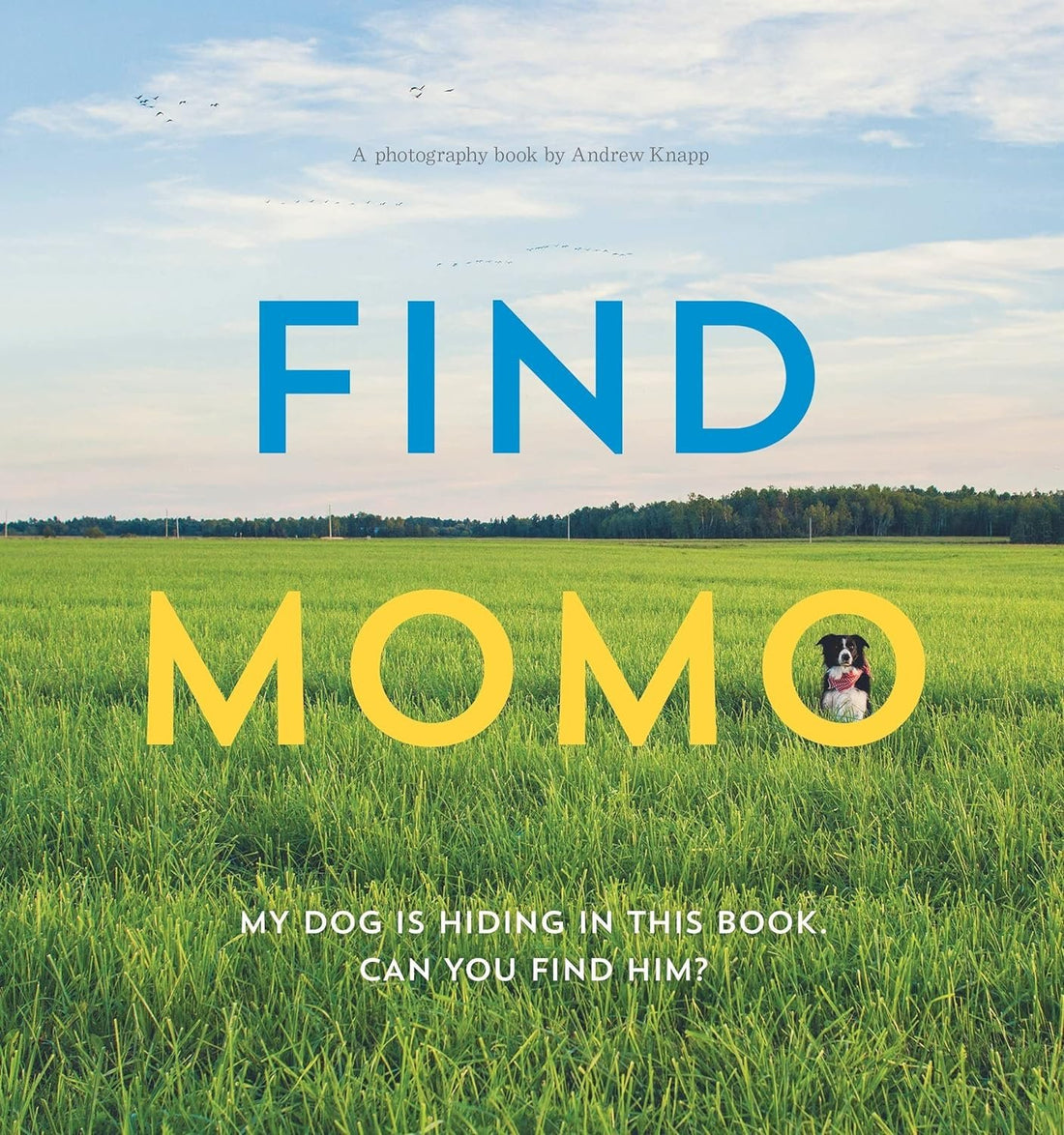 Find Momo Series 5 Books Set