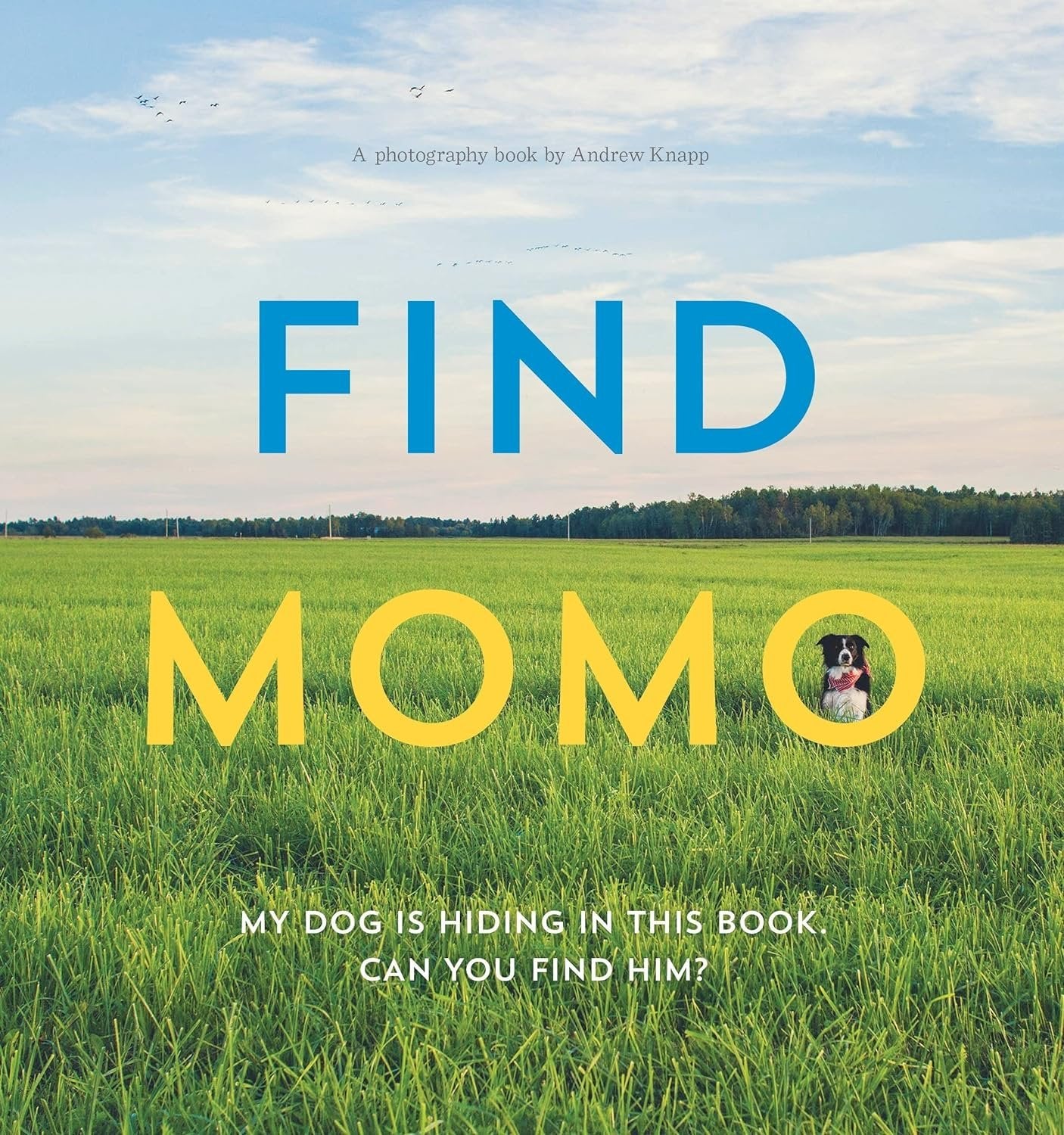 Find Momo Series 5 Books Set