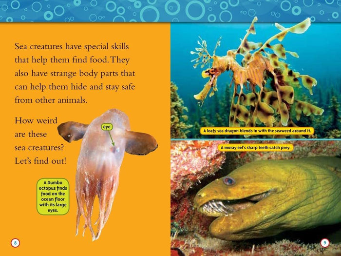 National Geographic Kids Ocean Life Six Book Set : Weird Sea Creatures, Dolphins,Coral Reefs, At the Beach, Sea Turtles, Great Migrations: Whales