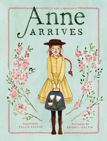 An Anne Chapter Book Series 4 Books Set