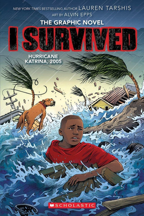 I Survived Series Graphic Novels Collection (6 Books)