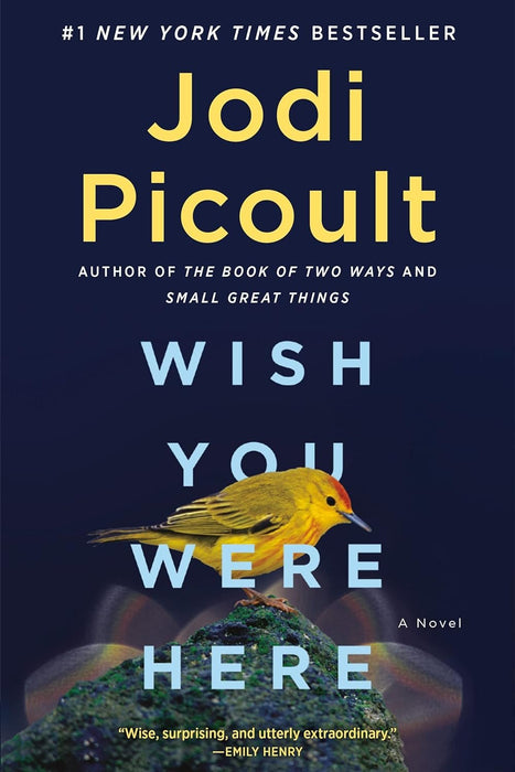 Jodi Picoult Best Selling 4 Books Set - Wish You Were Here; The Book of Two Ways; A Spark of Light; Small Great Things (Paperback)