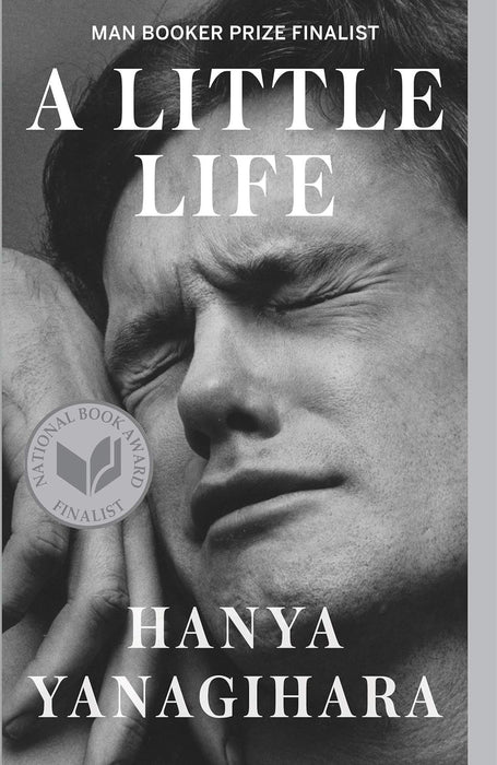 Hanya Yanagihara Bestselling 3 Books Collection - A Little Life, The People in the Trees, To Paradise