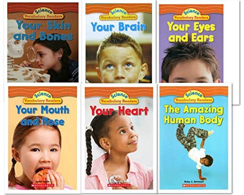 NEW - Scholastic Science Vocabulary Readers - Human Body Books Set (6 Books) for Grades 1-2