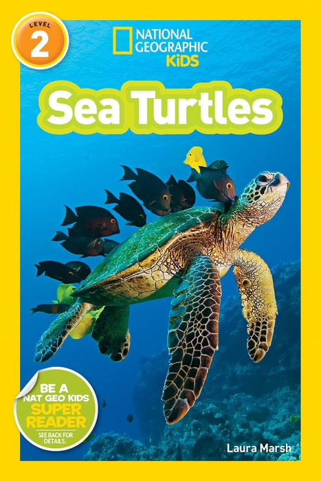 National Geographic Kids Ocean Life Six Book Set : Weird Sea Creatures, Dolphins,Coral Reefs, At the Beach, Sea Turtles, Great Migrations: Whales