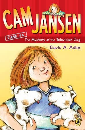 Cam Jansen Series 10 Books Set (Case #1 - Case #10)