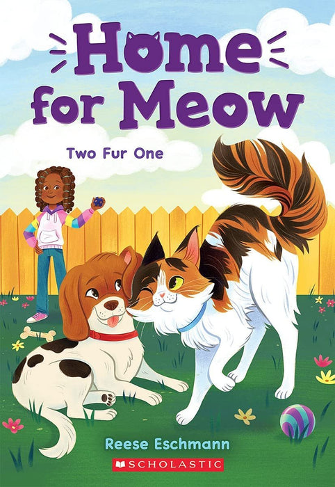 Home for Meow Series 4 Books Set