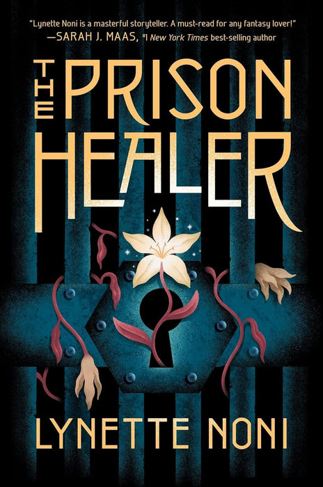 The Prison Healer Series 3 Books Set