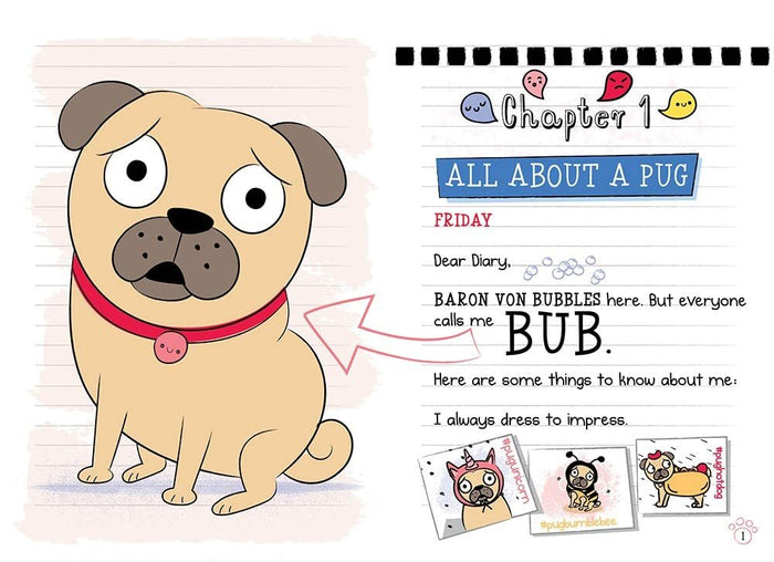 NEW SET - DIARY OF A PUG Series Set (5 Books)