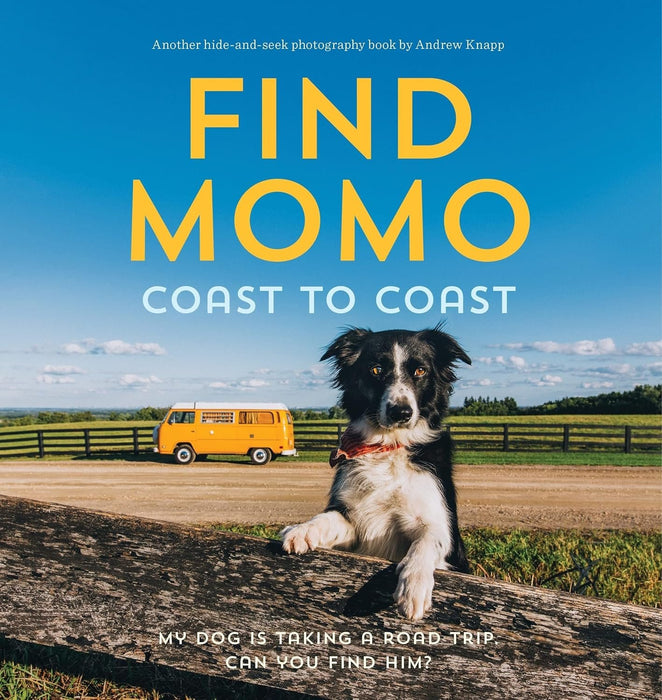 Find Momo Series 5 Books Set